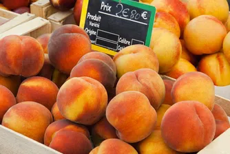 Извънредни евромерки за прроизводителите на плодове