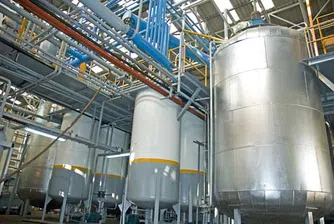 Зърнени храни България с 6.6 млн. неконсолидирана печалба