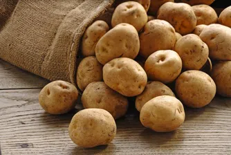 Между 50% и 70% по-ниска реколта от картофи