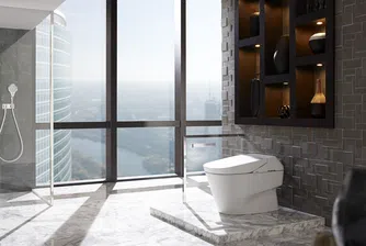 Тоалетна чиния за 10 000 долара