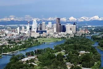 Успелите българи в чужбина: Митко Тошев