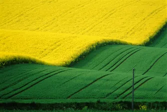 Никкомерс 01 вече притежава 17.28% от Агро Финанс