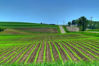 Кризата понижи цените на земеделската земя