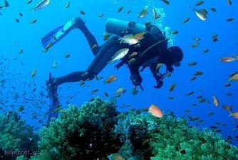 Правителство заседава на морското дъно