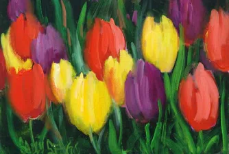 Румъния забрани вноса на цветя от Холандия заради Шенген