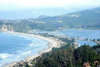 Плажовете с най-много нападения от акули