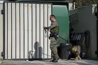 В САЩ разкриха голяма кражба на картини