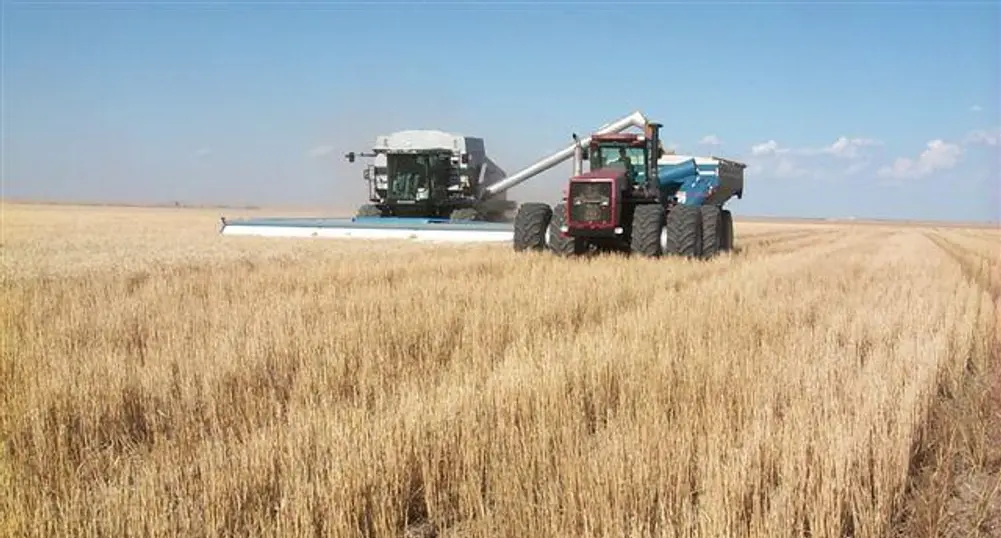 2010 Wheat Harvest Totals over 3.7 Mln t