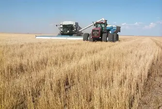 2010 Wheat Harvest Totals over 3.7 Mln t