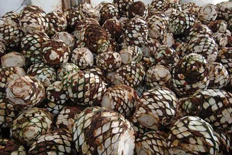 Ford ще си партнира с марка текила за производство на авточасти