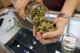 Марихуаната вече е законна в Колорадо, скоро и във Вашингтон