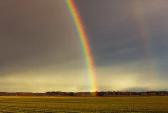 За какво си говорят британците?