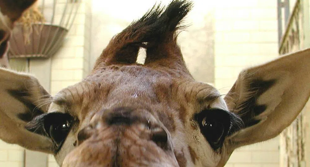 Загадката, която почти никой не може да реши