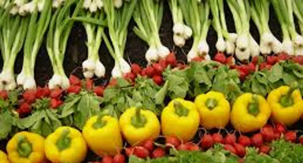 Въпреки кризата биоземеделието бележи ръст