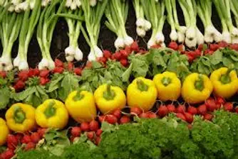 Въпреки кризата биоземеделието бележи ръст
