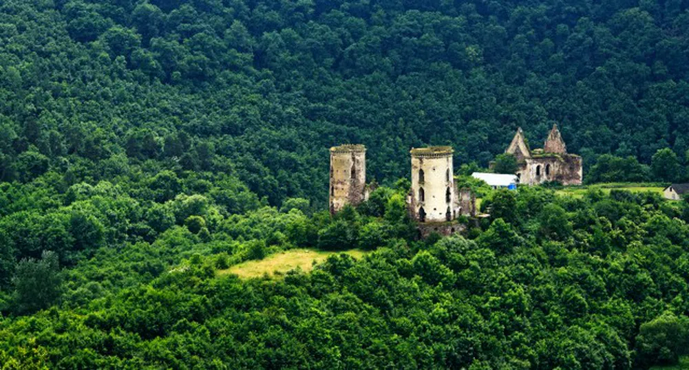 Полша се забърка в "подялбата" на Украйна