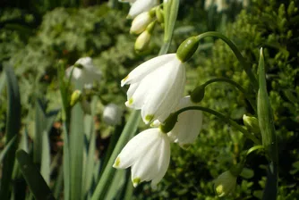 Очакват ни 16 градуса тази седмица
