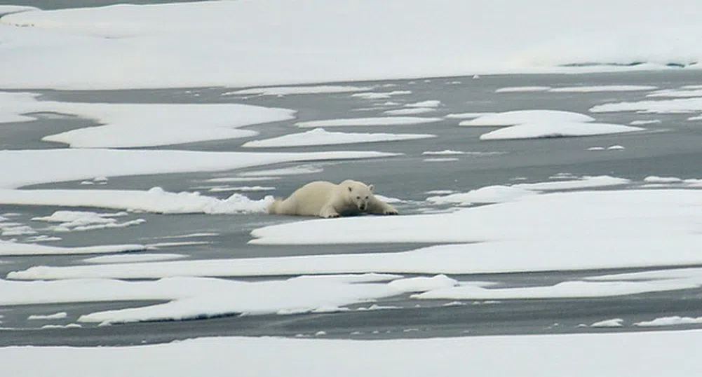 В Европа не е било толкова топло от времето на галите