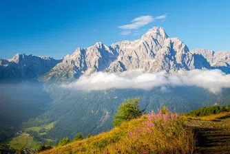 Пет изключителни природни чудеса, за които никога не сте чували