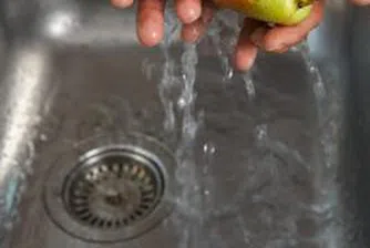 Китаец отглежда круши, даващи безсмъртие