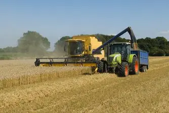 Пшеницата поскъпна с 10% на Пловдивската стокова борса