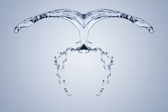 11 супер факта за водата, която ни заобикаля