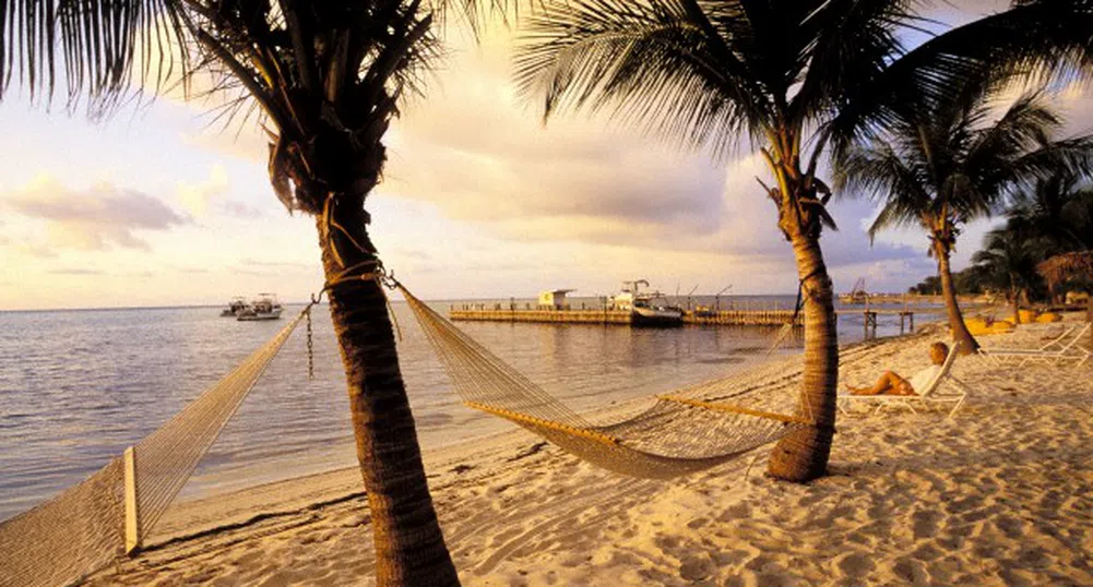 Щатските компании с най-много кеш в офшорни зони