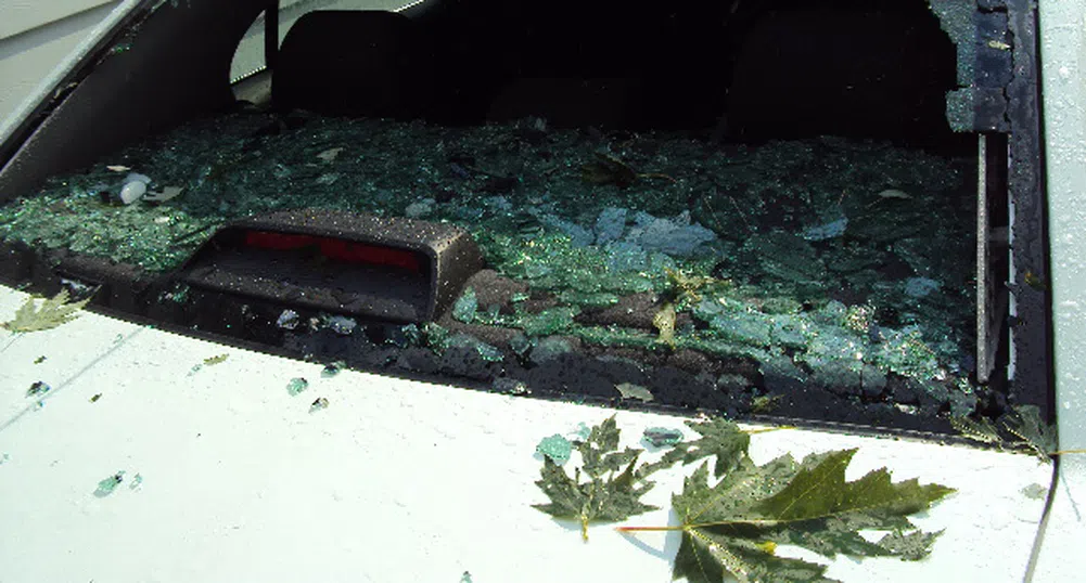 Застрахователите с по-дълъг период за подаване на заявления