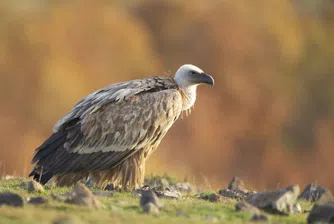 Чудните кътчета на България