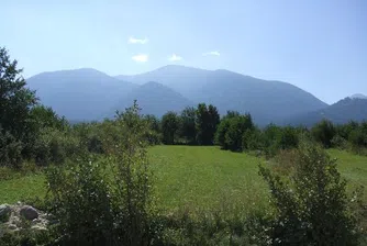 Нигериец стана хижар в Търговище