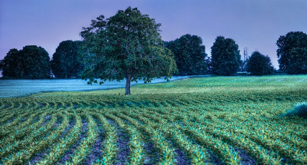 Таксите за обслужването на земеделските имоти скачат драстично