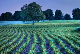 Таксите за обслужването на земеделските имоти скачат драстично