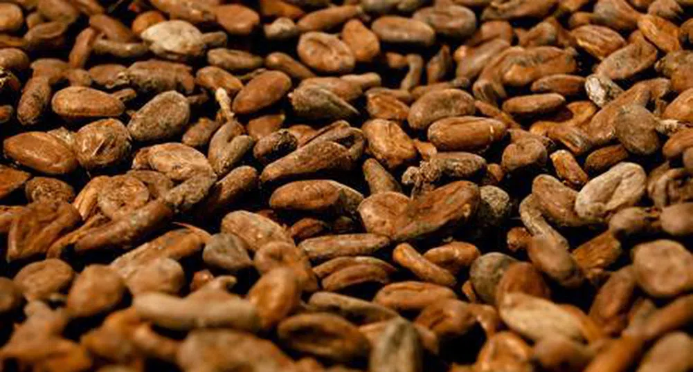 Цената на шоколада - рязко нагоре