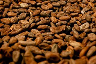 Цената на шоколада - рязко нагоре