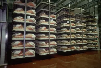 В Русия продавали 36-годишно месо от времето на Брежнев