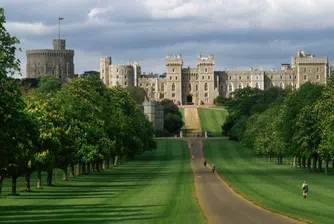 Замъкът "Уиндзор" ще се отоплява на дърва