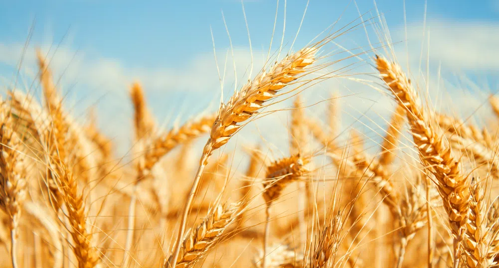 Alpha Bank предлага облекчени условия за земеделски производители