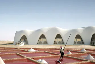 Пустинни градове, направени от сол, ще ни спасят от гладна смърт