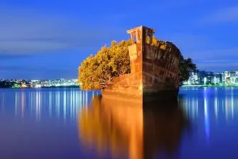 Плаваща мангова гора