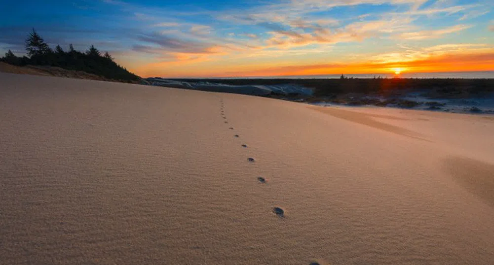 Археолози откриха отпечатъци от стъпки на 5000 години