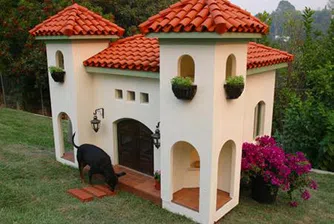 325 000 долара за къща... за кучето