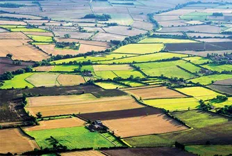 Адванс Терафонд купи 1785 дка земя през октомври