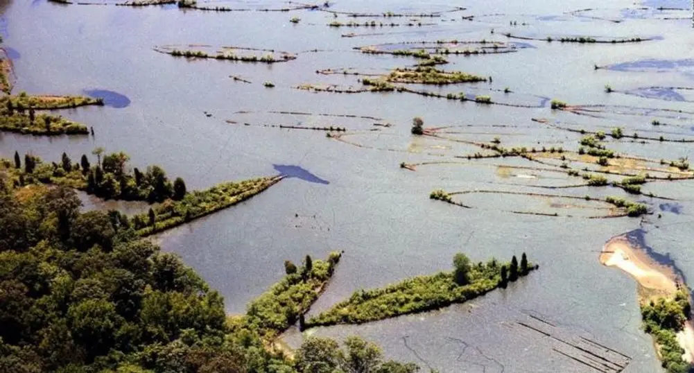 Призрачният флот на Mallows Bay