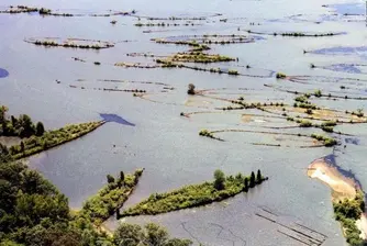 Призрачният флот на Mallows Bay