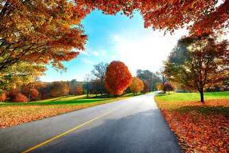 13 категорично позволени неща за правене през есента