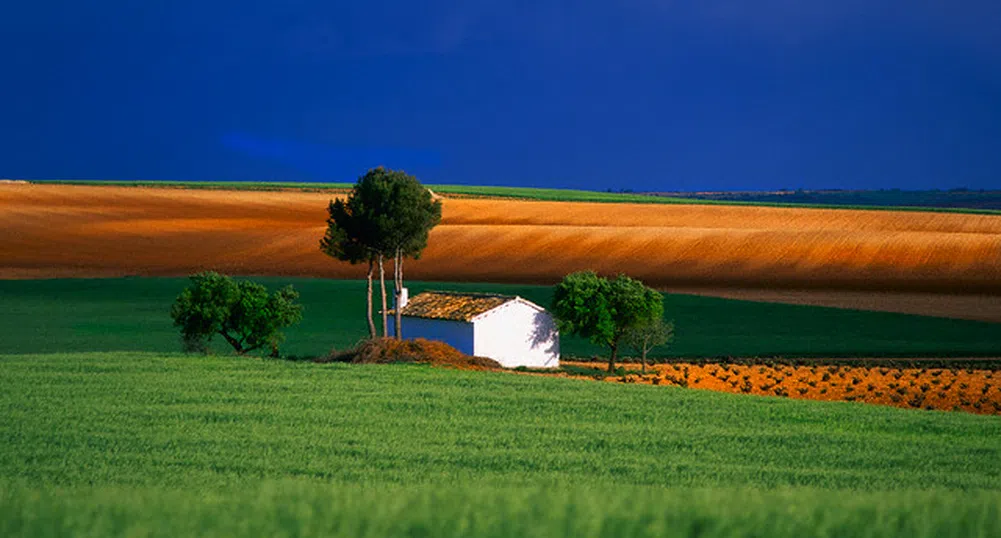 Разрешиха изграждането на икономическа зона в община Божурище