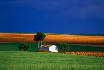 Разрешиха изграждането на икономическа зона в община Божурище