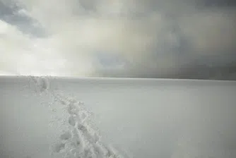 26 октомври е най-непродуктивният ден в годината