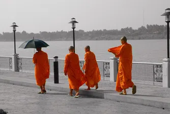 Как изглежда мозъкът на най-щастливия човек в света?