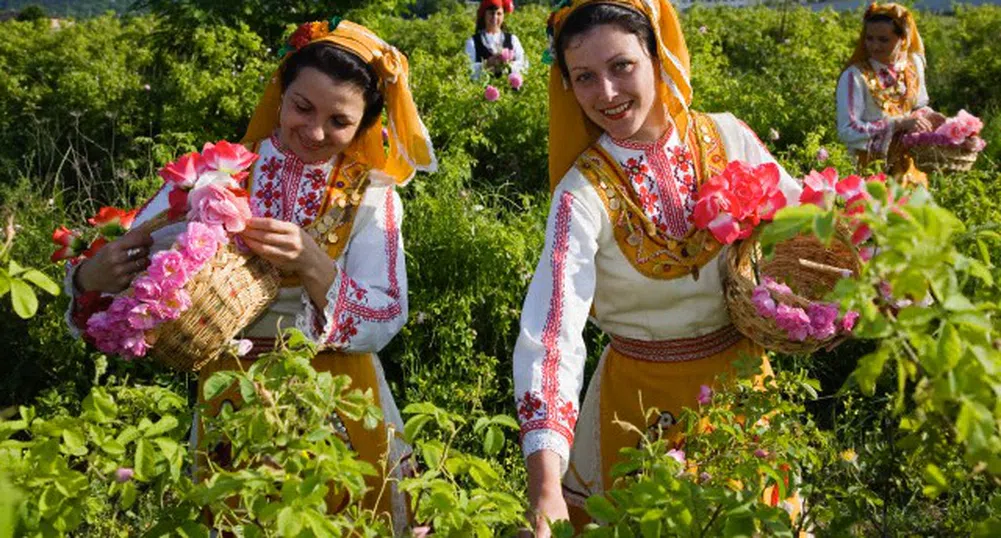 Стрелча се препълни за Празника на розата